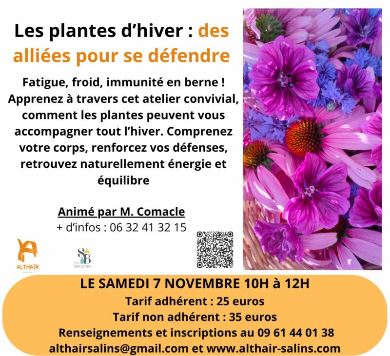 Plantes hiver
